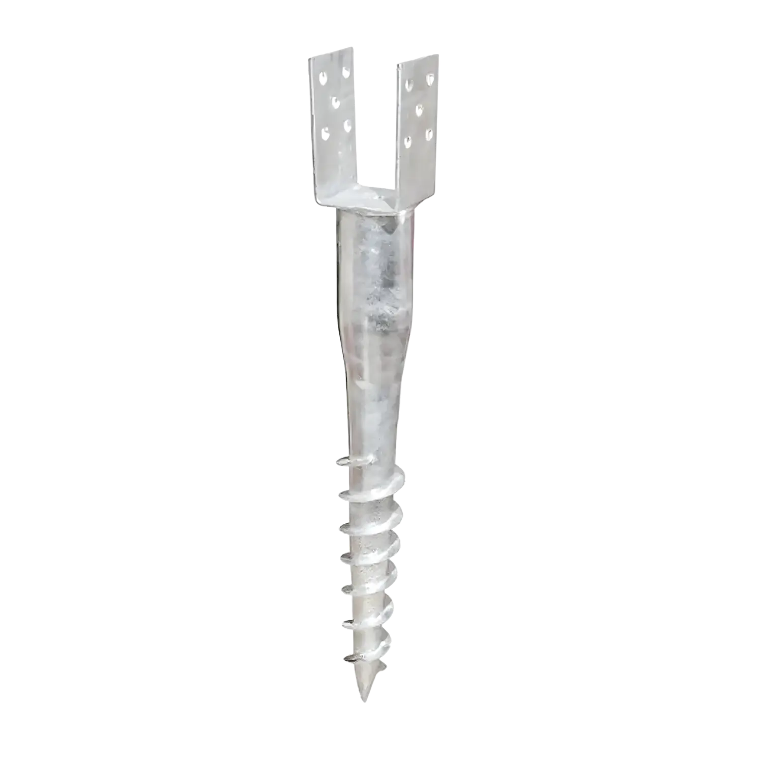 Jordspyd (60 cm langt)