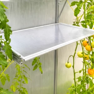 Hylle for Glas drivhus Sanus - 20 cm x 70 cm