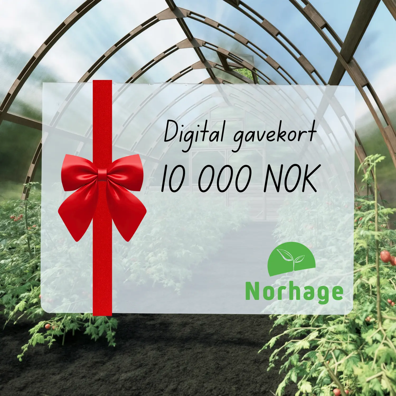 Digitalt gavekort – 10 000 NOK