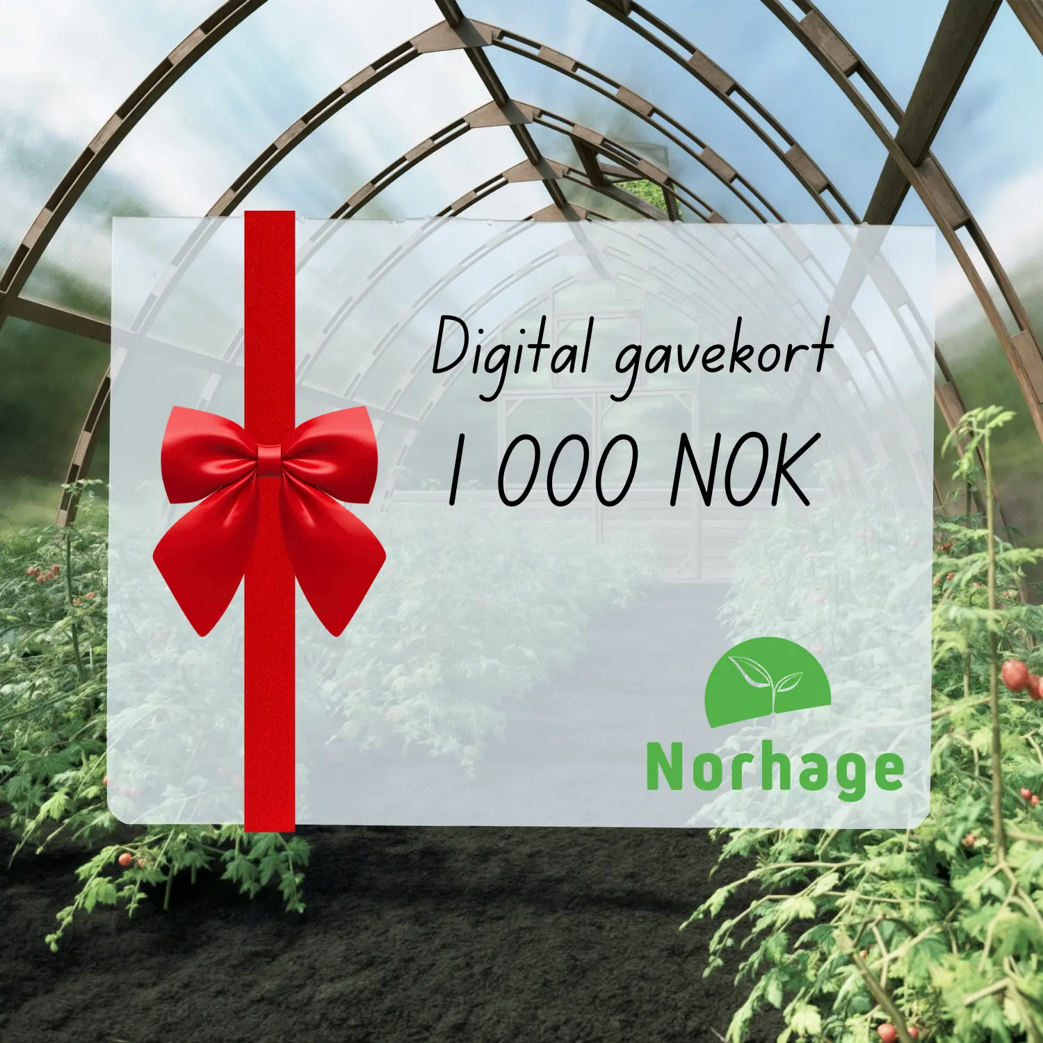 Digitalt gavekort – 1 000 NOK
