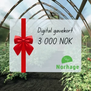 Digitalt gavekort – 3 000 NOK