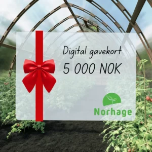 Digitalt gavekort – 5 000 NOK
